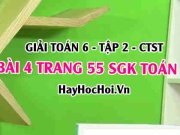 Giải bài 4 trang 55 Toán 6 Tập 2 SGK Chân trời sáng tạo